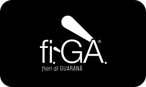 Fi-ga